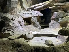 -临沂极地海洋王国