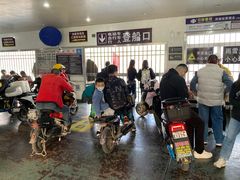 -武汉关码头(轮渡站)