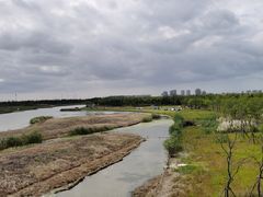 -春花秋色城市公园