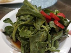 爽口冰菜-中发源·清真餐厅(春风店)