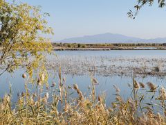 -野鸭湖国家湿地公园