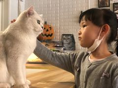 -平行世界·猫咖(首经贸店)