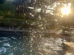 -咸宁万豪温泉谷度假区