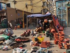 -哈尔滨道外花鸟鱼市场