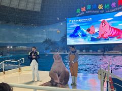 -泉城欧乐堡海洋极地世界