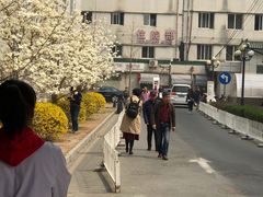 -中国中医科学院西苑医院(本部)
