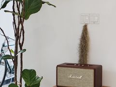 -猫里有甜