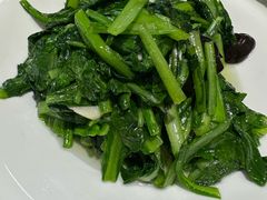 -陶然饺子城(奥体中路店)