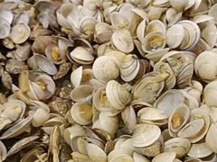 -大唐西市酒店-丝路阳光西餐厅