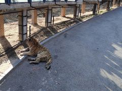 -大连森林动物园