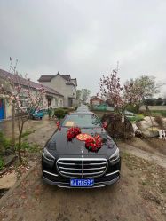 -蚂蚁婚车