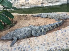 -石家庄市动物园