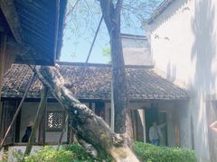 -乌镇东栅景区-江南百床馆