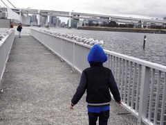 -台场一丁目商店街