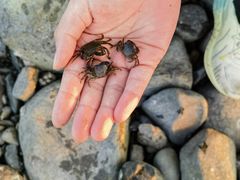 -北港方记海鲜楼·海景餐厅