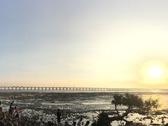 -宝安西湾红树林湿地公园