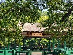 -紫金山山顶公园