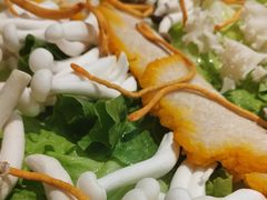 -巴倒烫陆派火锅山庄(南山总店)