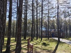 -塞罕坝国家级自然保护区