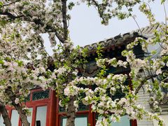 -海棠花溪(元大都城垣遗址公园)