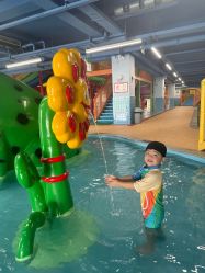 点击看大图 -宝燕乐园(闵行旗舰店)