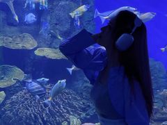 -左海海底世界