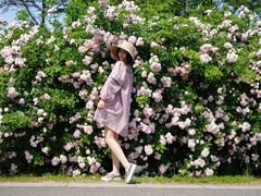 -大塘金香草谷