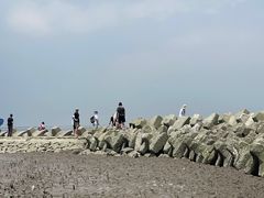 -南汇嘴观海公园