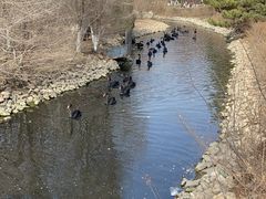 -长白岛森林公园