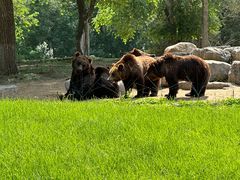 -北京野生动物园