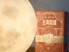 -WHEN PIGS FLY当猪飞