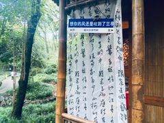 -兰亭风景区