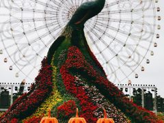 -七彩云南欢乐世界