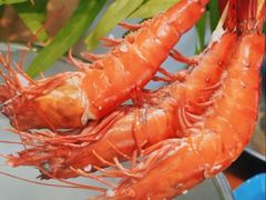-壹号粥火锅·海鲜煲仔粥(水围店)
