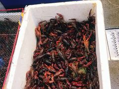 -北京清河镇农副产品交易市场中心