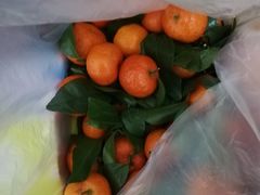 -果多美(三里河店)