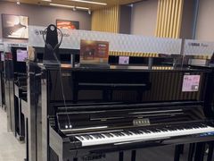 -雅马哈乐器专卖店(广州旗舰店)