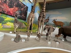 -陕西自然博物馆