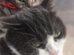 -Catmate·猫肥家润(金润铂宫店)