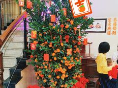 -轩记海鲜餐厅·四十五年老字号·经典粤菜(西区彩虹店)