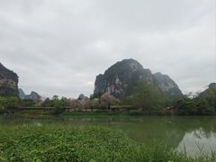 -明仕田园
