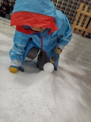 -Mr·Kuma酷么先生雪之乐园