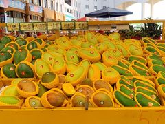 -三亚新鸿港水果一级批发市场