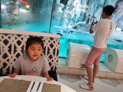 -帝企鹅自助餐厅•儿童岛•真企鹅(长隆企鹅酒店)