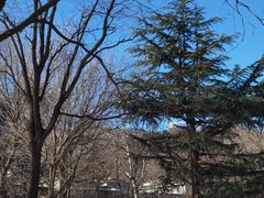 -北京植物园南门售票处