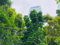 -重庆市江北嘴中央商务区中央公园