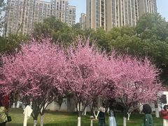 -堤角公园