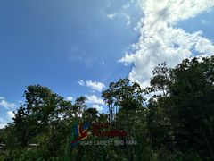 -新加坡飞禽公园