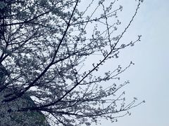 -江南大学(蠡湖校区)