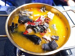 -Darling Queen·Mini·Live·House